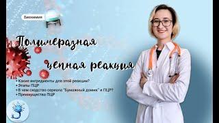 Полимеразная цепная реакция или ПЦР