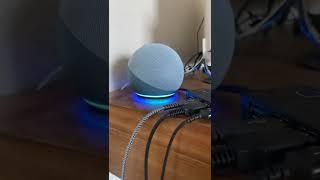 All Alexa sounds