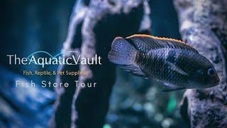 Australian Fish Store Tour - The Aquatic Vault Rosebud - Melbourne Victoria