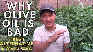 Why I Don't Consume Olive Oil & What I Eat Instead + More Raw Q&A