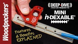 Deep Dive : Mini In-Dexable Features and Benefits Explained