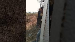 #entry Pardeep Saini  #fun2hun #shorts