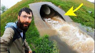 MONSTER FISH CAUGHT in EXTREME CITY FLOODING!