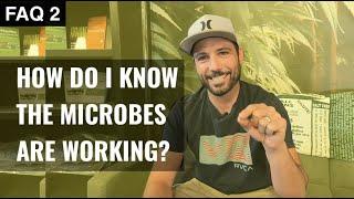 BuildASoil: HOW DO I KNOW THE MICROBES ARE WORKING? (Season 3, FAQ 2)