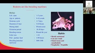 Rodent Control Webinar