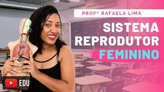 Aula Sistema  Reprodutor Feminino