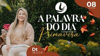 A PALAVRA DO DIA - Campanha da Primavera | 08 NOV 2024 | Bispa Virginia Arruda