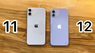 iPhone 11 vs iPhone 12