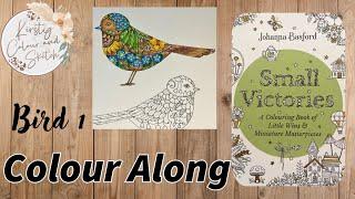 Colour along in Johanna Basford small victories ~ bird 1