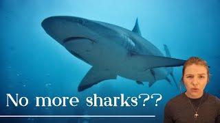 Are sharks going extinct?