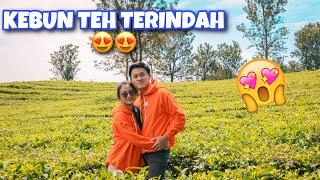 KEBUN TEH TERLUAS DAN TERINDAH DI PEMATANG SIANTAR!! KEBUN TEH SIDAMANIK!!