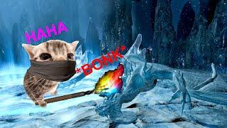 World's First TORCH ONLY Wyvern With Squire Gear | Dark and Darker Gameplay | Bossing | Solo