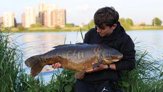 HOW to catch BIG OLD CARP - Walthamstow reservoirs