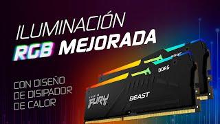 Kingston FURY Beast DDR5 RGB - Iluminación personalizable