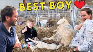 Storms, Sheep & Something Unexpected