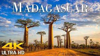 Madagascar 4K - Scenic Relaxation Film With Calming Music | Scenic Film Nature