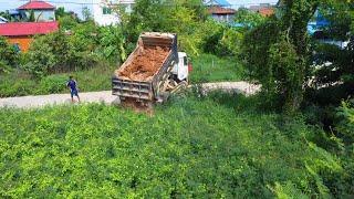 Start Perfect process pouring soil to develop land inside road by MITSUBISHI dozer with dump truck