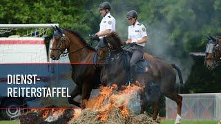 Die Dienstreiterstaffel  - Polizei Hessen