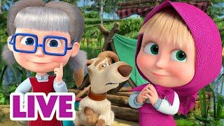  LIVE STREAM  Masha and the Bear  Watch Out For Masha ️