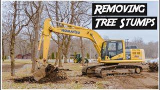 Removing Tree Stumps with Excavator | Heavy Equipment Operator