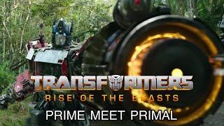 TRANSFORMERS RISE OF THE BEASTS AUTOBOTS VS MAXIMALS