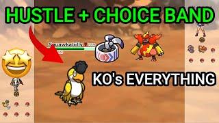 Choice Band Squawkabilly Is Insane! (Pokemon Showdown Random Battles) (High Ladder)