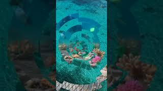️Heart shaped coral reef   ABOVE & BELOW ️ The heart of the Ocean ️