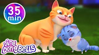 Meow Meow Billi Karti + 12 more Hindi Rhymes | Nursery Rhymes Hindi | Ding Dong Bells