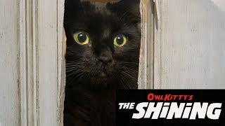 The Shining + My cat (HD)