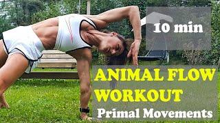 Animal Flow Workout / 10 Min / Venera Serova // Animal Flow / Locomotion / Primal Movement