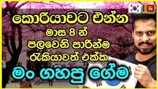 මාස 8න් කොරියන් පාඩම් කලේ කොරියාවට ආවෙ මෙහෙමයි | The way I studied Korean, the way I came to Korea