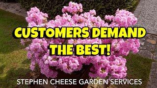 STEPHEN CHEESE GARDEN SERVICES OUR COMPLETED GARDEN MAINTENANCE WORK #gardeningbusiness #gardener