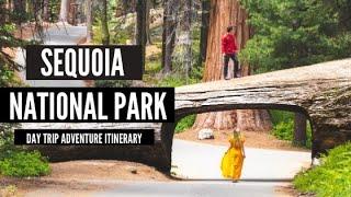 Sequoia National Park Day Trip: Best Hikes and Attractions in 2020