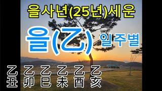 을사년(25년)일주별 세운 - 을목 일주별