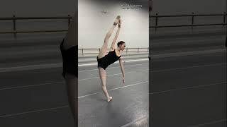 Ballet panic mode ‍ #ballet #short #2023 #ad