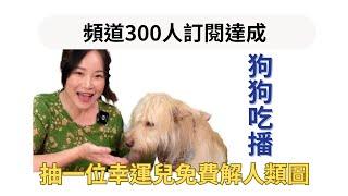 吃吃喝喝輕鬆看人類圖  EP9 慶祝破300訂閱重金邀請狗狗吃播並抽一位幸運兒免費幫你解人類圖