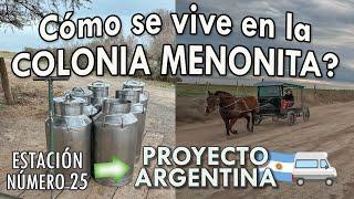 Cómo se vive en la Colonia MENONITA? | Guatraché, La Pampa 