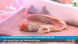 Así se hace eco Canal Sur, de la presentación del Atlas de la Carne por Amigos de la Tierra.🫁