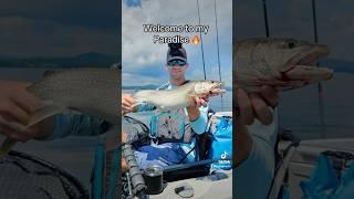 #youtubeshorts #foryoupage #fishing #lakegeorge #fishinglife #kayakfishing #troutfishing #lakelife