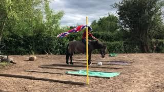 Equagility Red, July/Aug 2020 - Ellen and... Inara!