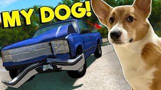 I Tried to Teach My Corgi How to Play BeamNG?!