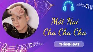 Mắt Nai Cha Cha - Thành Đạt | Chiếc Nôi Âm Nhạc | Tình Khúc Bất Hủ Chọn Lọc