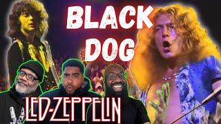 Led Zeppelin - 'Black Dog' Reaction! Page and Plant! Bonham and Jones! Magicians at Musicianship!