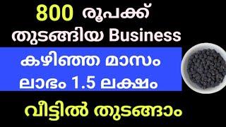 800 രൂപക്ക് തുടങ്ങിയ business.. കഴിഞ്ഞ മാസം ലാഭം 1.5 ലക്ഷം രൂപ... വീട്ടിൽ നിങ്ങൾക്കും തുടങ്ങാം