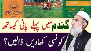 Which fertilizers should be used at First irrigation in Wheat Crop || Crop Reformer