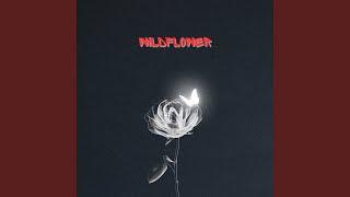 WildFlower