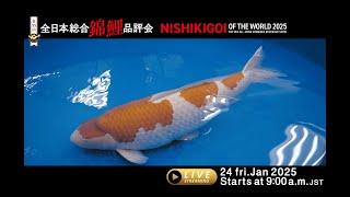 The 55th All Japan Nishikigoi Show is Coming Soon! —Don’t Miss It!