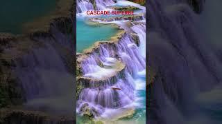 Cascade incredibile #viralshorts #viral #followforfollowback