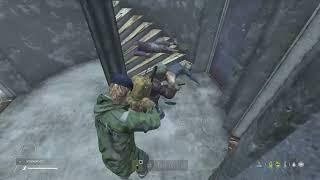The DayZ Experience