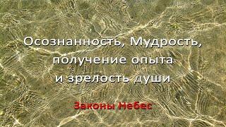 Осознанность, Мудрость, получение опыта и зрелость души